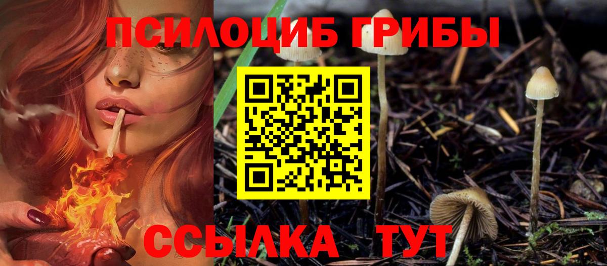 Сокол  Галлюциногенные грибы мицелий  Вход с VPN 